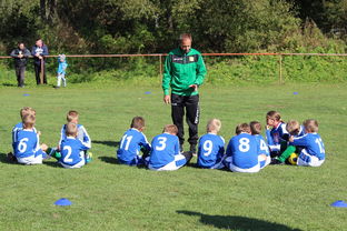 米兰体育官网平台-五大联赛是否提升边路轮换参与战术决策比重，五大联赛可以换5人