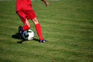 AC Milan-俱乐部青训体系与职业联赛脱节，俱乐部青训有工资吗